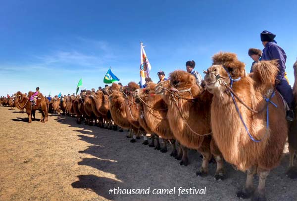 Mongolian Camel Bell Ringtone